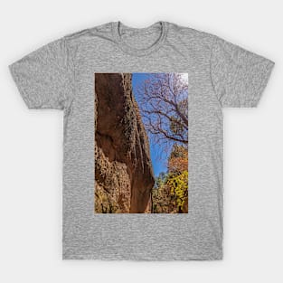 Rocky Cliff Formation Amid Colorful Tree Leaves T-Shirt